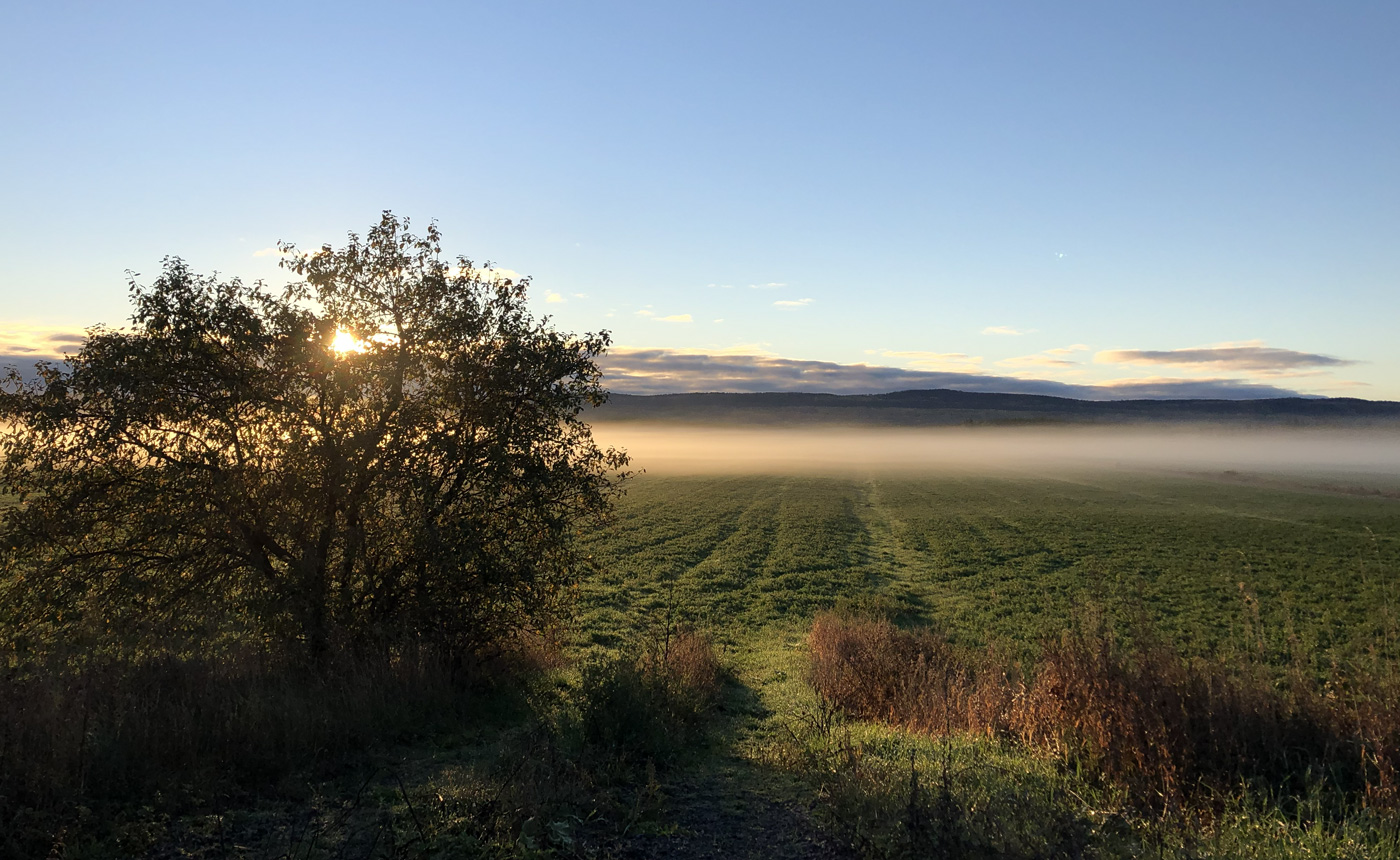 Horizon